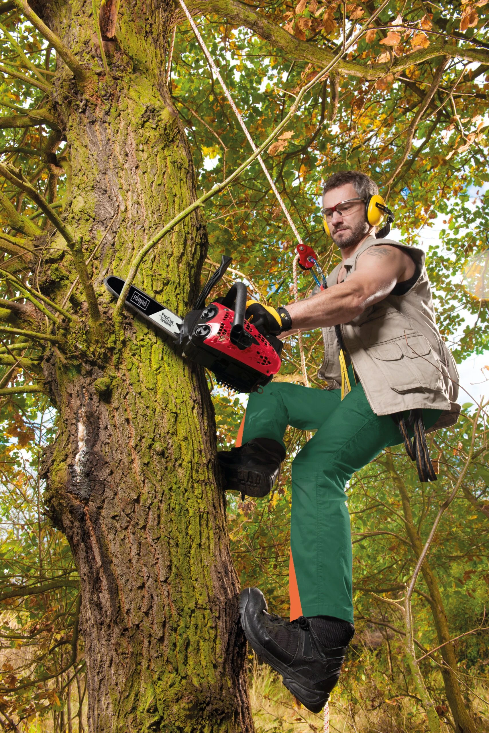 Scheppach Benzin - Kettensäge Inkl. Inkl. ProCut Kette- & Schwert - Image 3